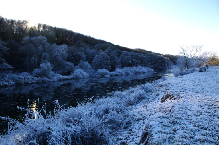 Ballingham Court farm landscape with cattle, orchards, and Wye Valley countryside in view.