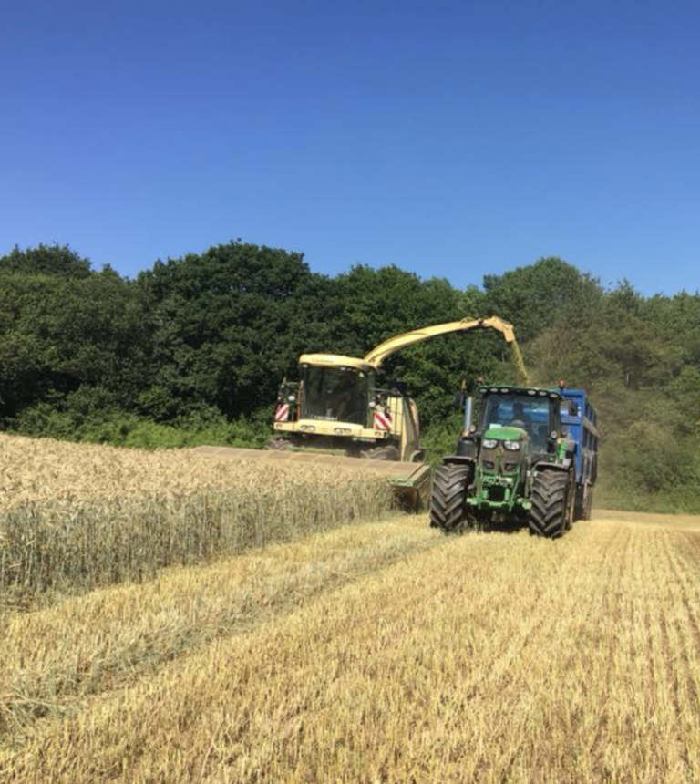 Ballingham Court farm landscape with cattle, orchards, and Wye Valley countryside in view.