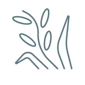 Scenic view of Ballingham Court’s fields and livestock set in the Wye Valley countryside.