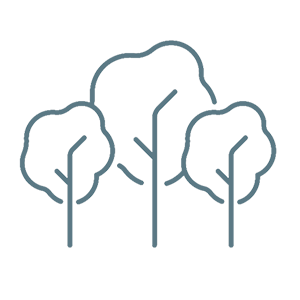 Scenic view of Ballingham Court’s fields and livestock set in the Wye Valley countryside.