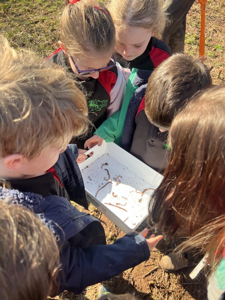 Ballingham Court farm landscape with cattle, orchards, and Wye Valley countryside in view.