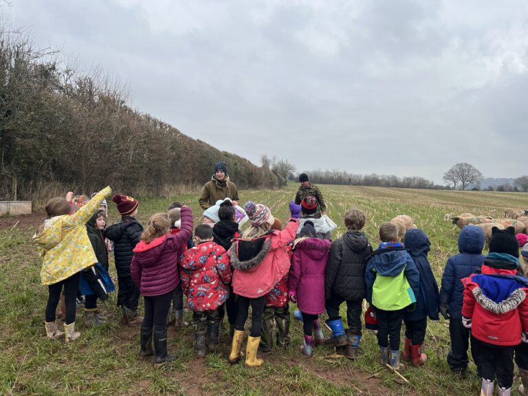 Ballingham Court farm landscape with cattle, orchards, and Wye Valley countryside in view.