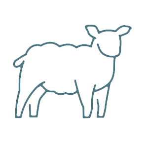 Family-run farm buildings and rolling fields at Ballingham Court in the heart of the Wye Valley.