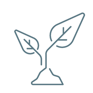 Scenic view of Ballingham Court’s fields and livestock set in the Wye Valley countryside.